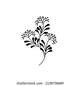 Flower line drawing. Hand-drawn minimalist illustration 