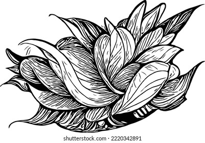 flower line drawing vector background
