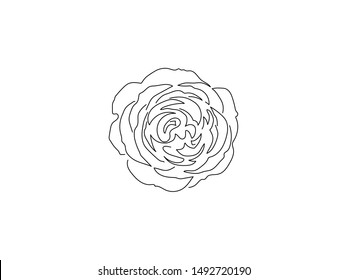 Flower line drawing, vector illustration design. Nature collection.