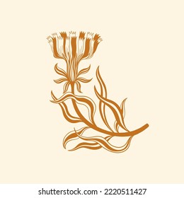 Flower line hand drawn style. One object vintage design. Elegant plant William Moriss drawing style. Vector illustration.