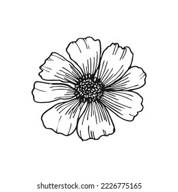 Ilustración vectorial dibujada a mano en línea de flor aislada en fondo blanco. Elemento vector aislado.