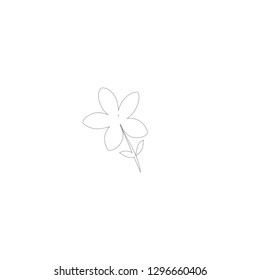 flower line icon