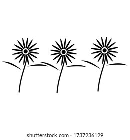 Icono de línea de flor. Símbolo de esquema de alta calidad para diseño web o aplicación móvil