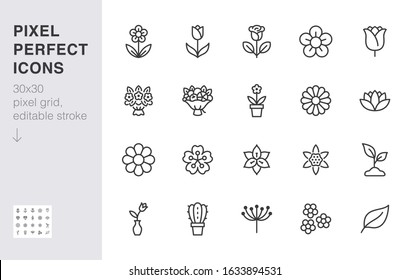 Conjunto de iconos de la línea de flores. Rose, tulipán en jarrón, ramo de fruta, flor de primavera, cactus ilustración vectorial mínima Señales de contorno simples para aplicación de entrega de flores. 30x30 Estroques editables perfectos para píxeles
