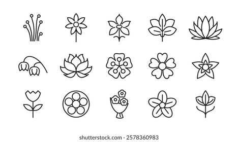 Flower line icon set. rose, tulip, daisy bouquet,  violet, jasmine, calendula, echinacea, iris, chamomile,  gardening,  landscaping, sunflower, lily, dandelion, line icon set. UI thin line icon pack.