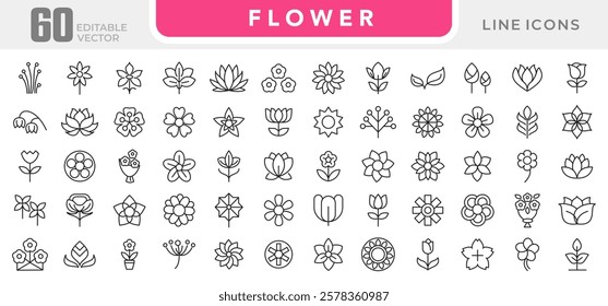 Flower line icon set. rose, tulip, daisy bouquet,  violet, jasmine, calendula, echinacea, iris, chamomile,  gardening,  landscaping, sunflower, lily, dandelion, line icon set. UI thin line icon pack.