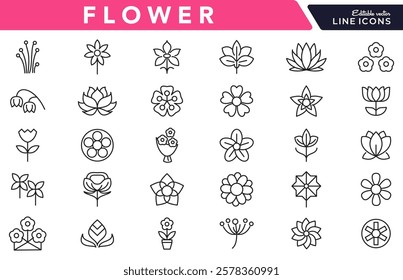 Flower line icon set. rose, tulip, daisy bouquet,  violet, jasmine, calendula, echinacea, iris, chamomile,  gardening,  landscaping, sunflower, lily, dandelion, line icon set. UI thin line icon pack.