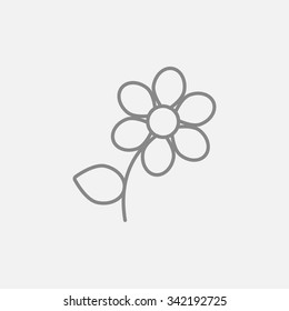 Flower line icon for web, mobile and infographics. Vector dark grey icon isolated on light grey background.