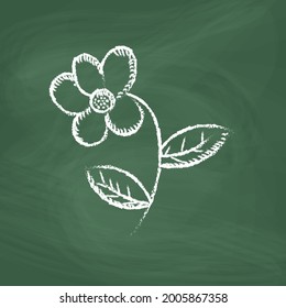 Flower Line Icons vector design white. Hand drawn flower. Simple vector icon. Cartoon flower line icon. Drawing flower, vector sketch. Draw a picture on the blackboard.