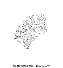 flower line illustration