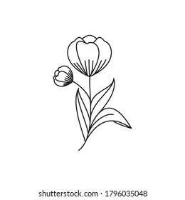 Flower line illustration. Line art. One line. 




