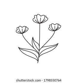Flower line nature icon vector.