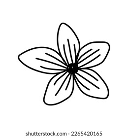  florale Linie auf weißem Hintergrund, Vektorgrafik, die zur Dekoration von Text, Karten, Einladung verwendet wird. Blumenskizze.