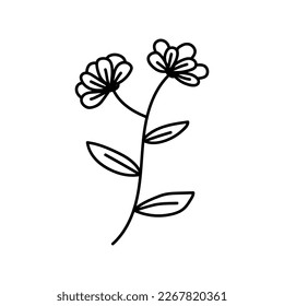  flower line on white background vector illustration using for decoration of text, cards, invitation. Sketch of leaves and flowers.