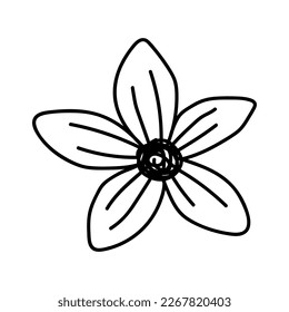  línea de flores sobre ilustración vectorial de fondo blanco usando para la decoración de texto, tarjetas, invitación. Esbozo de hojas y flores.