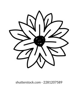 flower line on white background vector illustration using for decoration of text, cards, invitation. Sketch of leaves and flowers.