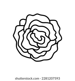 flower line on white background vector illustration using for decoration of text, cards, invitation. Sketch of leaves and flowers.
