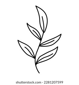  flower line on white background vector illustration using for decoration of text, cards, invitation. Sketch of leaves and flowers.