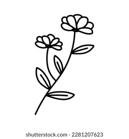  línea de flores sobre ilustración vectorial de fondo blanco usando para la decoración de texto, tarjetas, invitación. Esbozo de hojas y flores.