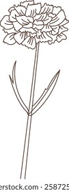 Flower Line Sketch Vector Illustration
