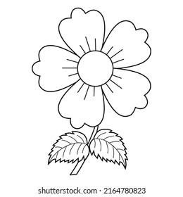 ilustración vectorial de línea de flores, aislado en fondo blanco, vista superior