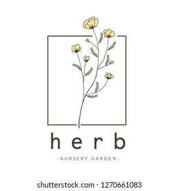 Flower Logo Concept Design Line Art
