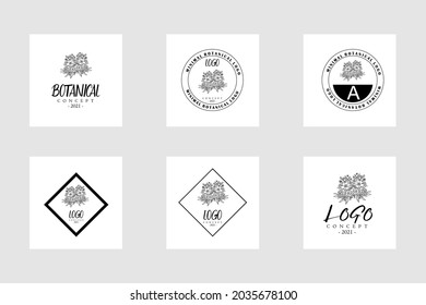 Flower logo concept for elegant retro minimalist modern branding full logo package