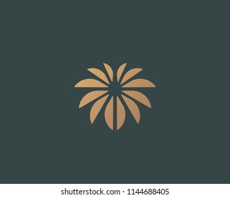 Flower logo design. Palm vector logotype symbol. 