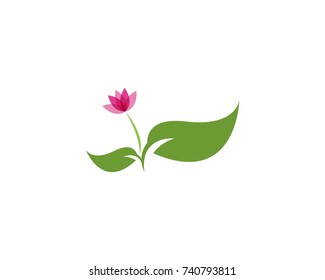 Flower logo design template