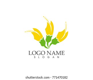 Flower logo design template