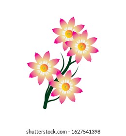 Flower Logo Design Vector Template
