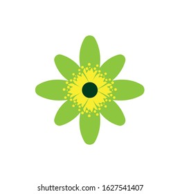 Flower Logo Design Vector Template
