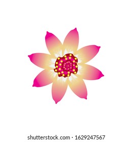 Flower Logo Design Vector Template
