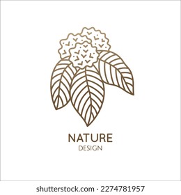 Flower logo of hydrangea. Floral emblem of hydrangea with inflorescences in linear style. Vector abstract badge for design of natural products, flower shop, cosmetics, ecology concepts, health, spa