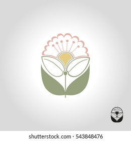 flower logo, icon and symbol vector illustration