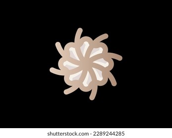 Flower logo icon vector design. Elegant premium ornament vector logotype symbol