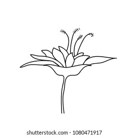 flower logo icon vector template