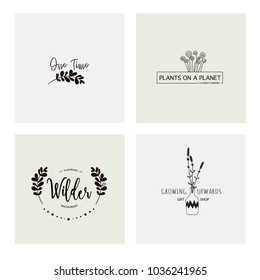 Flower logo templates made in vector. Minimalistic logo design. Wreaths and leaves