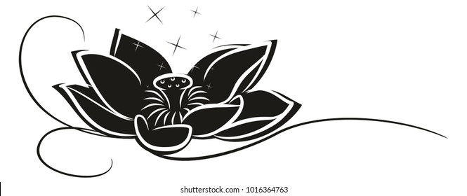 Flower of lotus - Shutterstock ID 1016364763