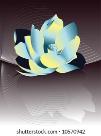 flower lotus