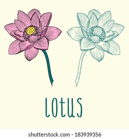 The flower of lotus