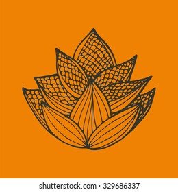 Flower of lotus