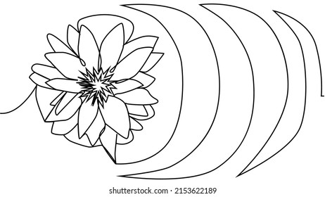 Flower lotus continuous line illustration with editable stroke single line drawing of beautiful water lily for floral design or logo