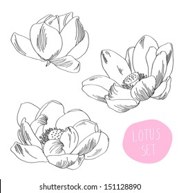Flower lotus set in vector