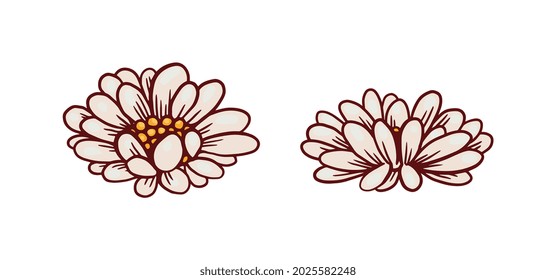 Flower of lotus in two positions set of cartoon vector illustration isolated on white background. Decorative flower elements collection of indian blossom lotus.