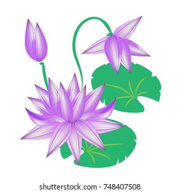 Flower lotus violet, isolated on white background vector illustration