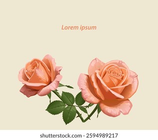 즈, flower, 분홍, love, 네이처, 블로섬, 발렌타인, 로맨스, 결혼, 개화, beautiful, 꽃봉오리