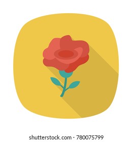 flower love and romance 