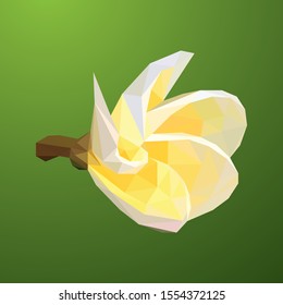 Flower low poly vector of a blooming phase white-yellow Plumeria in high detail. With green background. EPS 10.