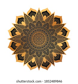 Flower luxury ornament mandala background vector